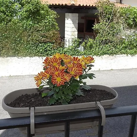 Maison d'hôtes Do Senhor Da Pedra 3*