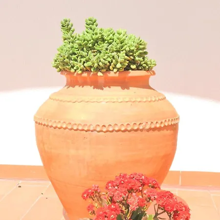 Do Senhor Da Pedra Casa de hóspedes