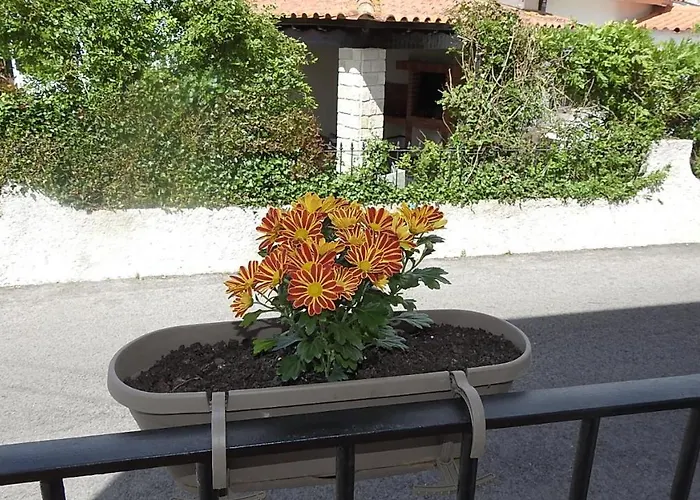 בית הארחה Do Senhor Da Pedra 3*