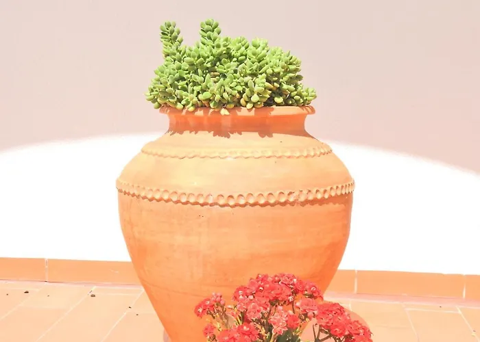 Do Senhor Da Pedra בית הארחה